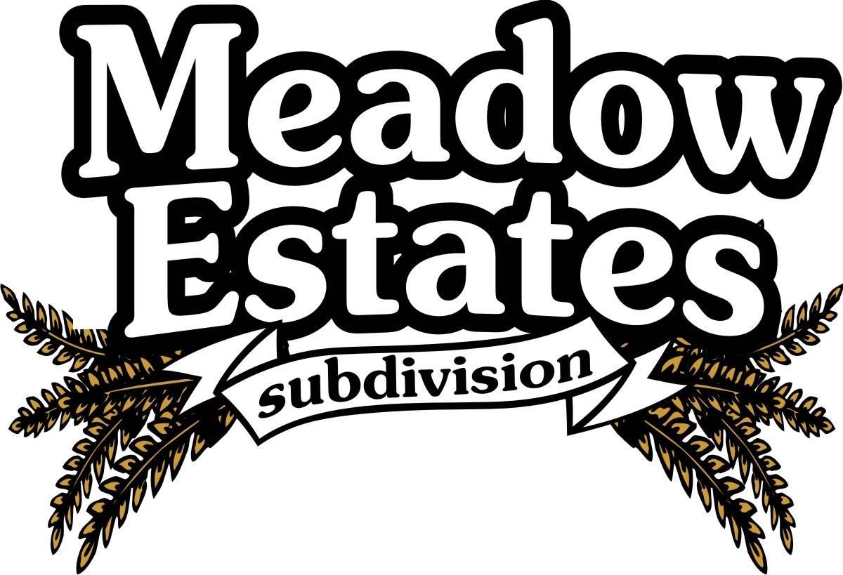 Meadowview Lane - Photo 1