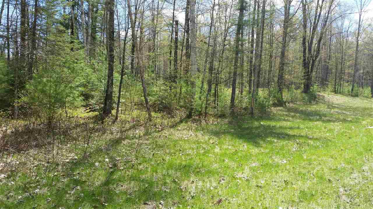 Menominee Shores Drive - Photo 1
