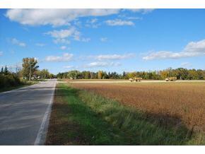 3527 Arline Road - Photo 1