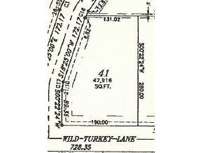 Wild Turkey Lane - Photo 1
