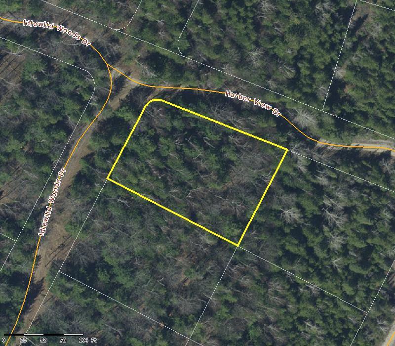 Idlewild Woods Drive - Photo 1