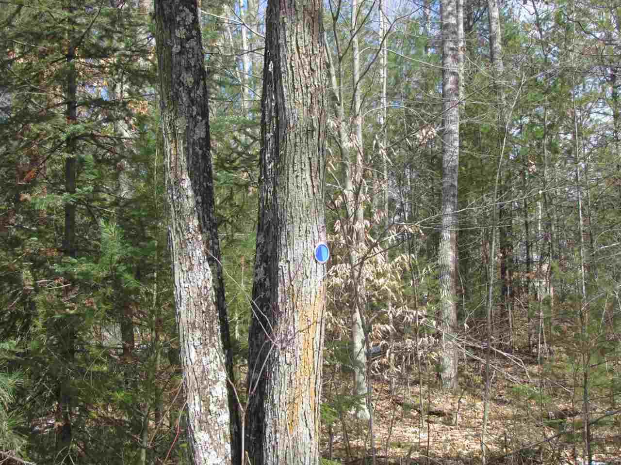 4982 West Slope Lane - Photo 1
