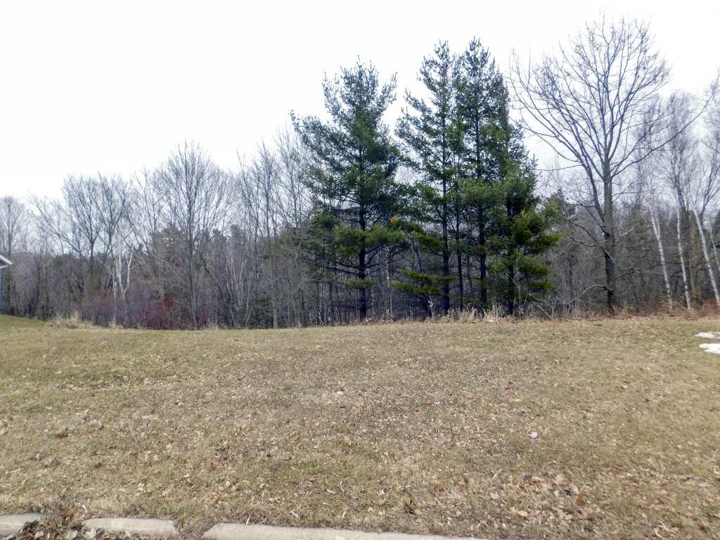 Diamond Ridge Circle - Photo 1