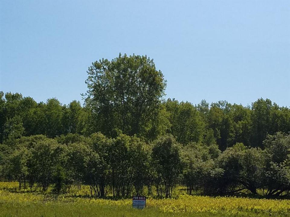 Brookfield Avenue - Photo 1