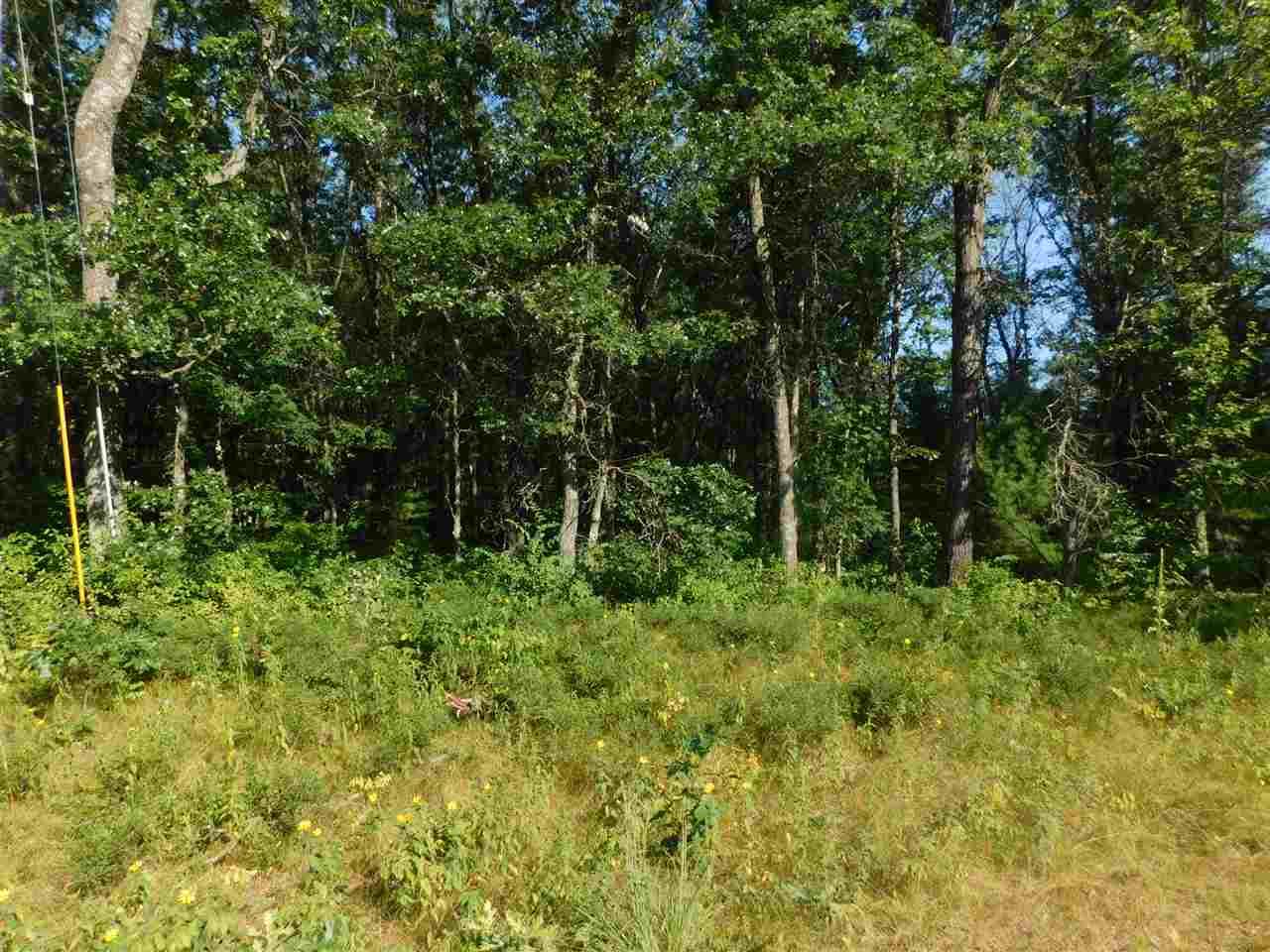 N1227 Big Sky Road - Photo 1