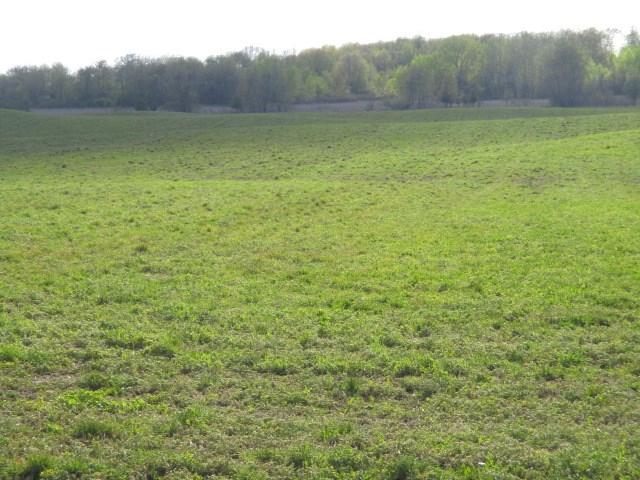 Liner Road - Photo 1