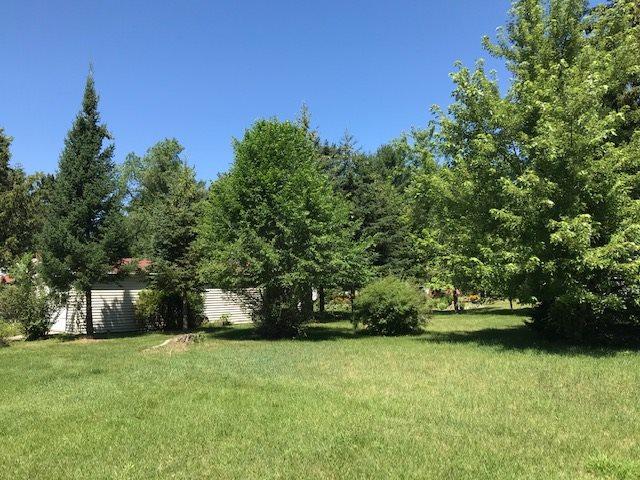 1004 Lulu Avenue - Photo 1