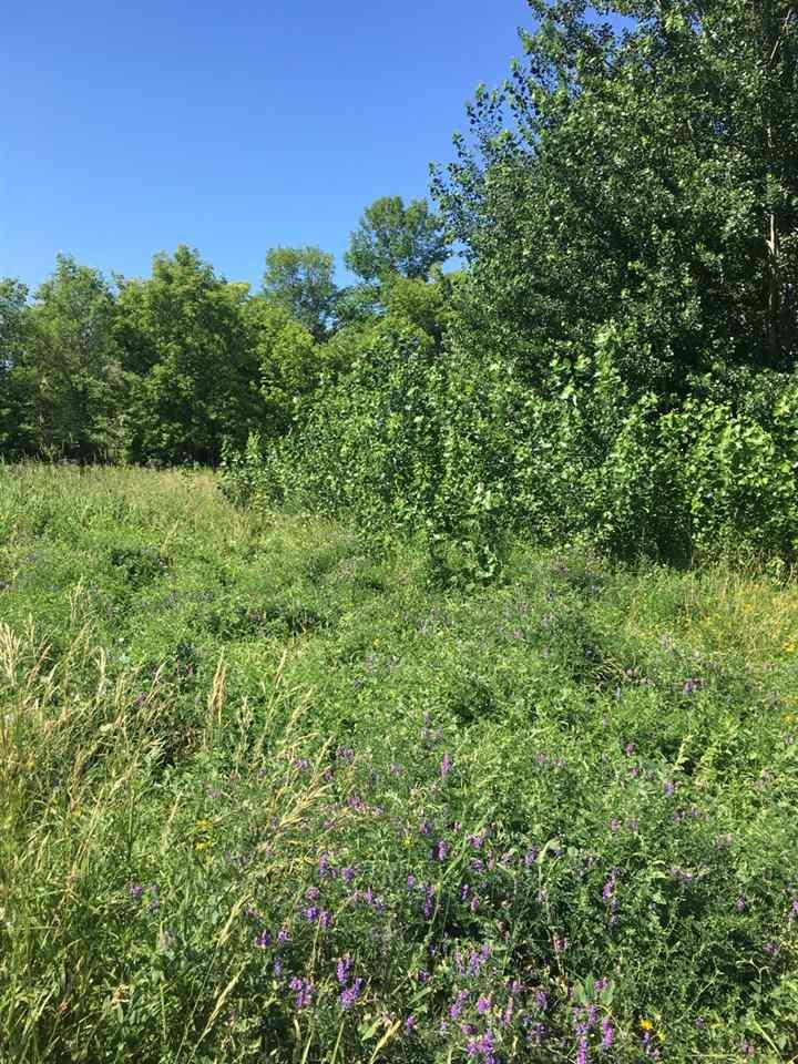 1360 Lime Kiln Road - Photo 1