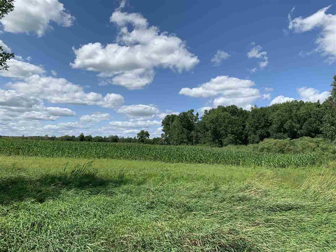Cedar Road - Photo 1