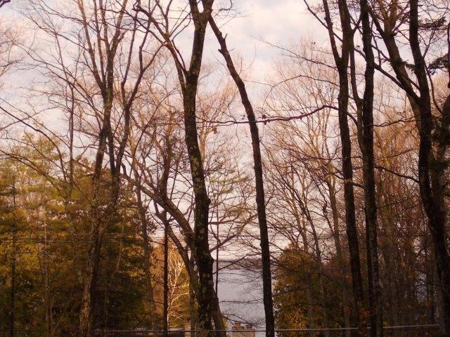 Bay Shore Drive - Photo 1