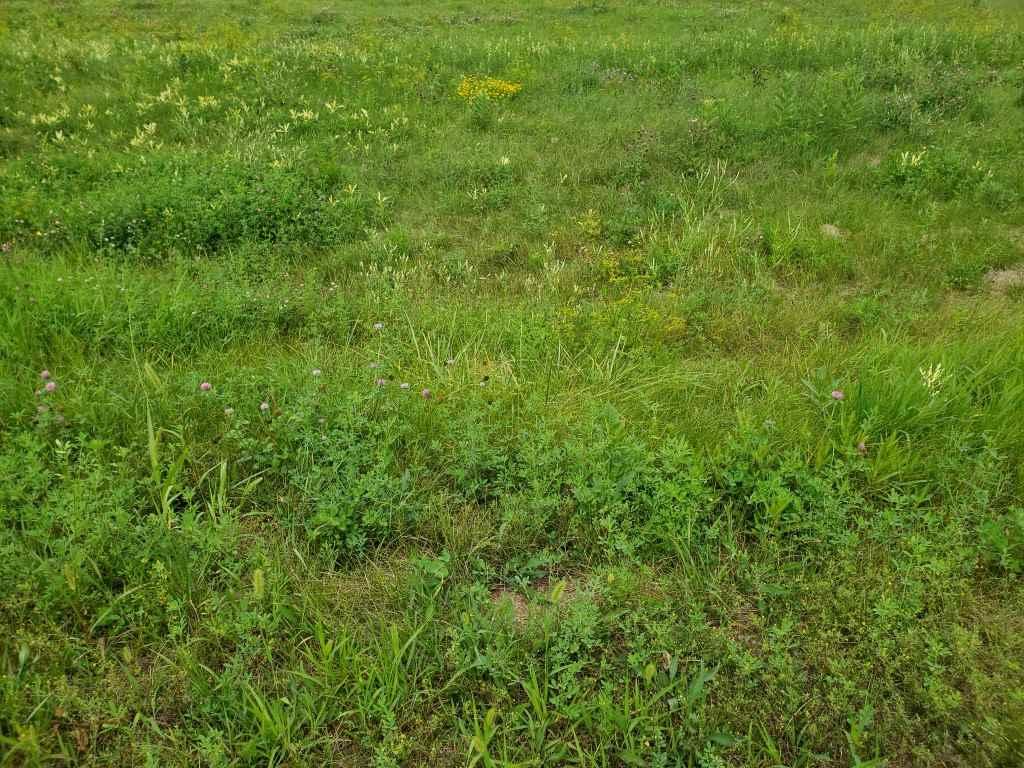 Mill Pond Circle - Photo 1