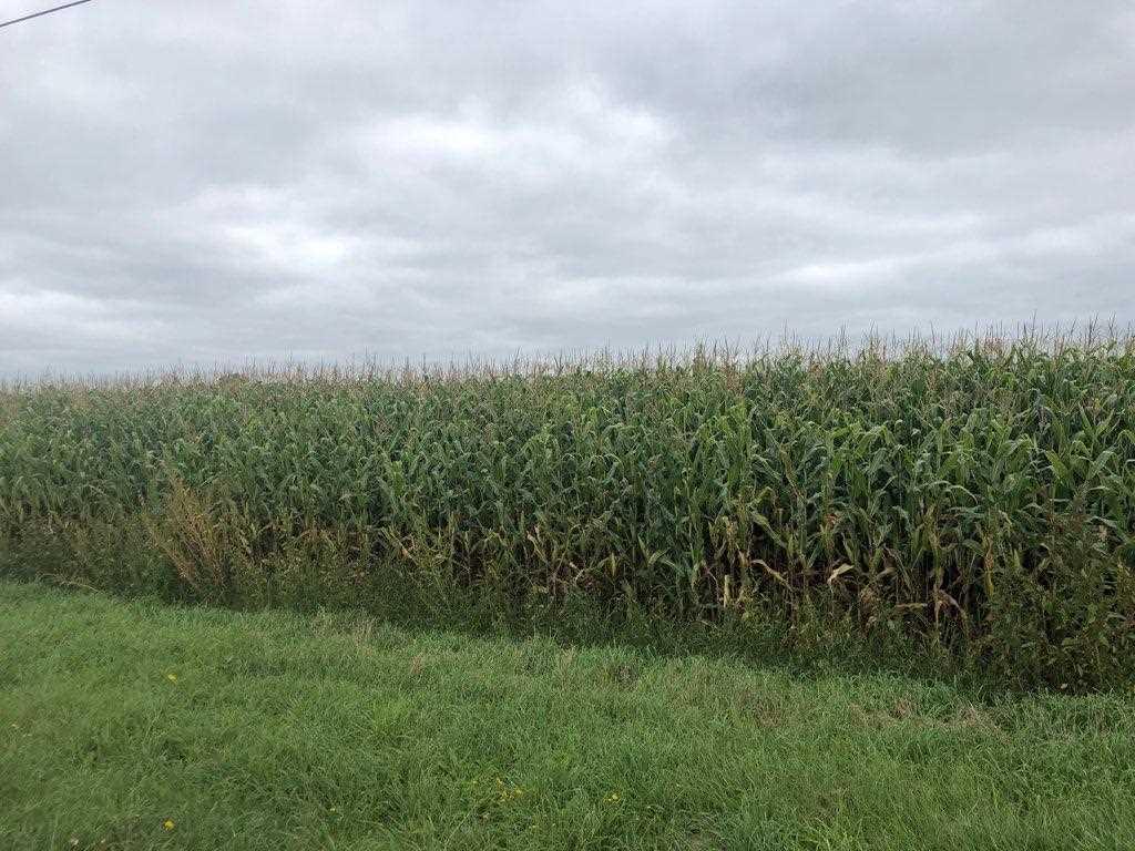 Hwy G - Photo 1