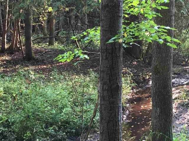 Oak Orchard Road - Photo 1