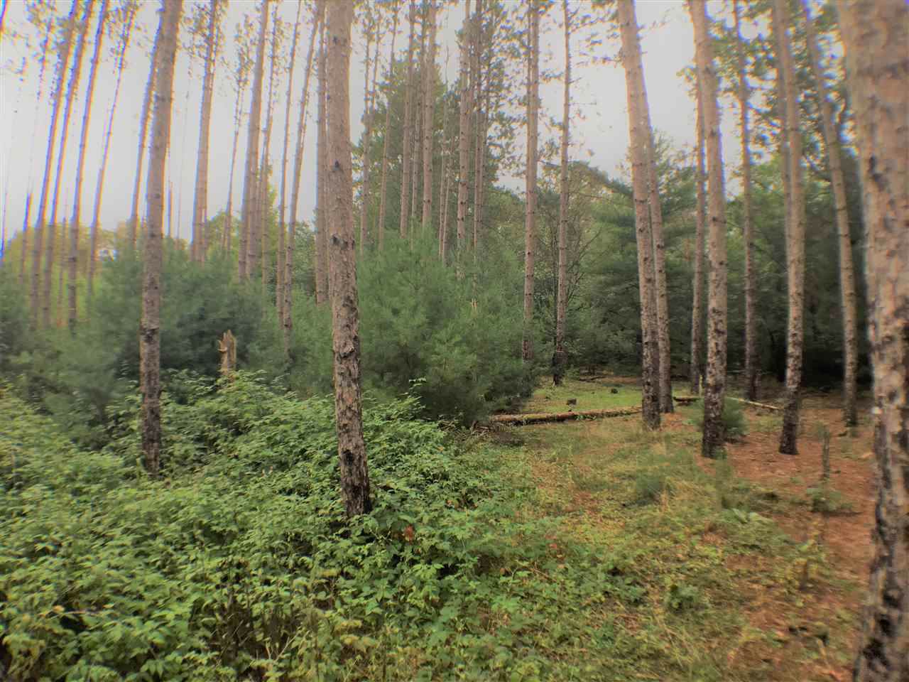 Hwy 22 - Photo 1