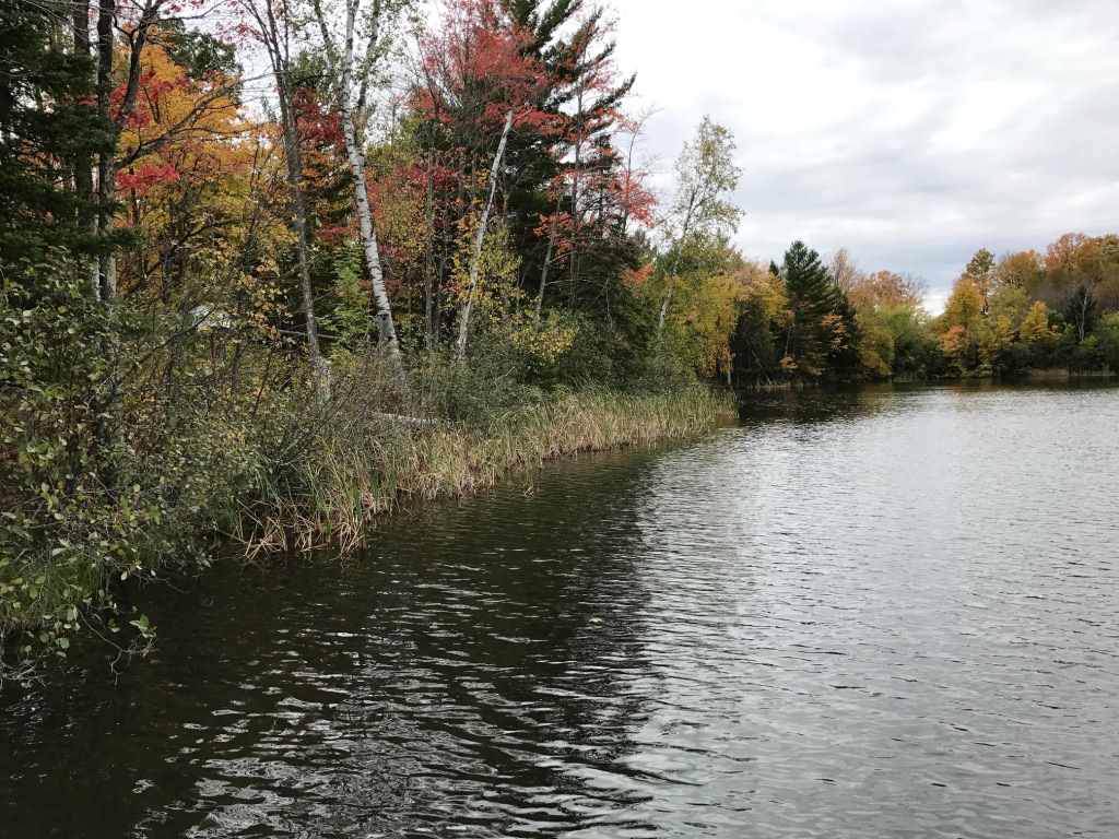 Barnes Lake Road - Photo 1