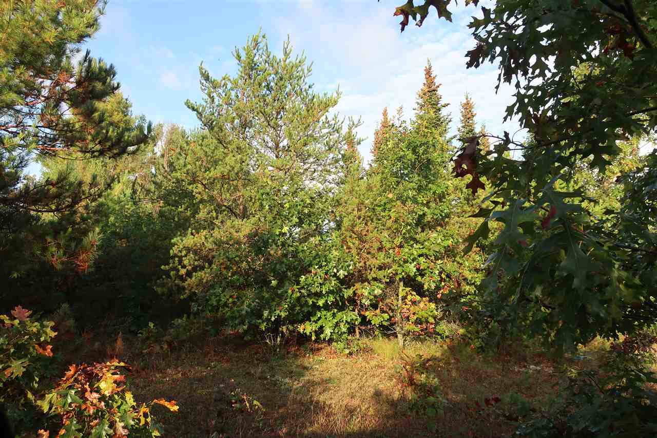 W9849 Bighorn Drive - Photo 1