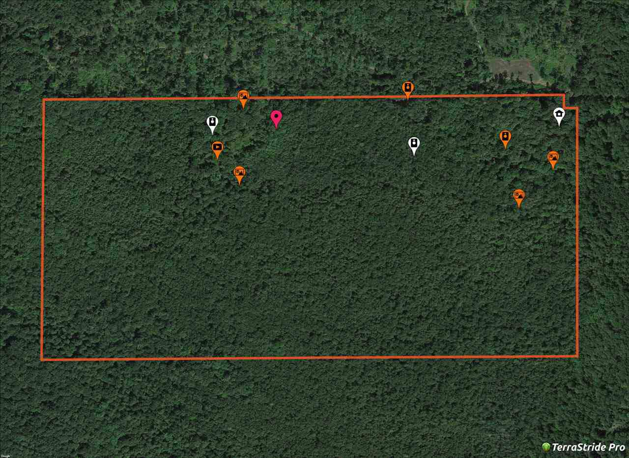 N9171 Carper Road - Photo 1