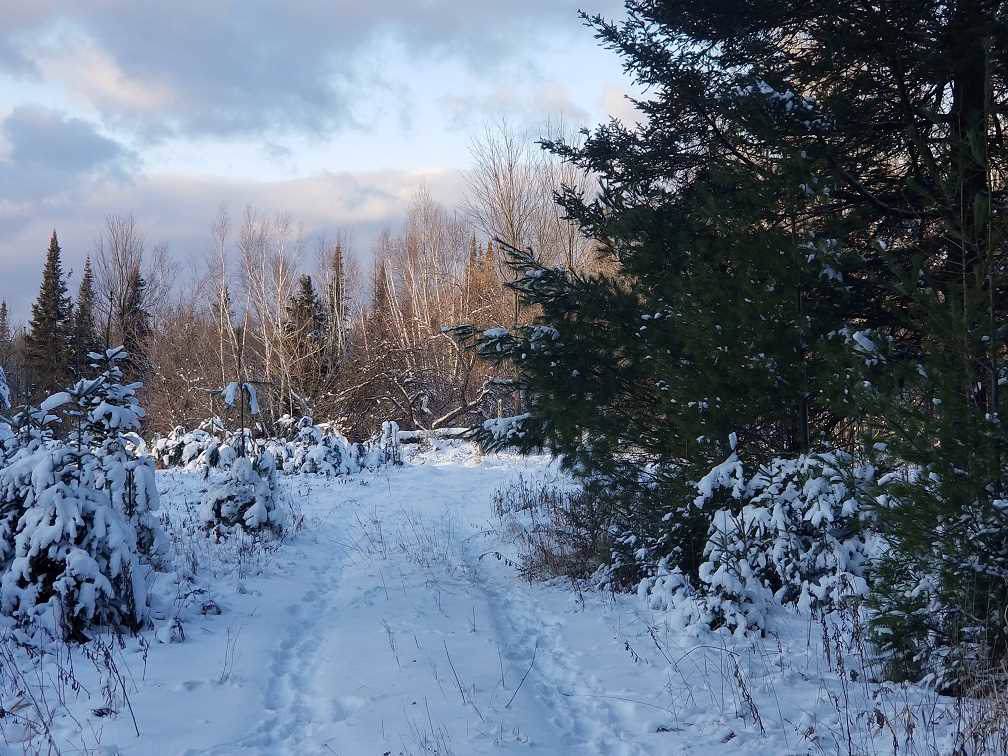 W14854 Old County D Road - Photo 1