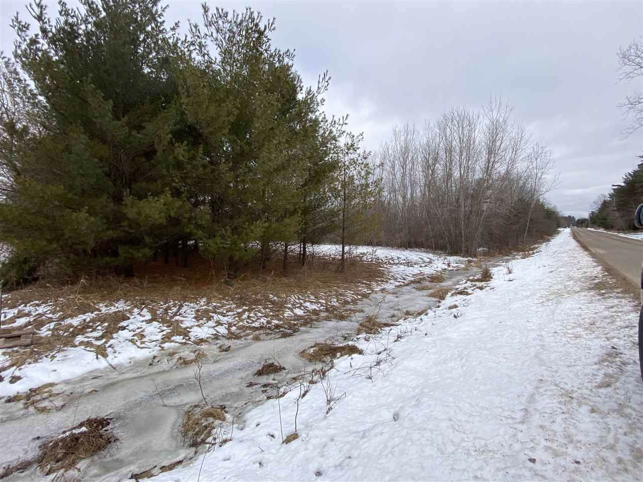 33.65 ACRES WHITE PINE Drive - Photo 1