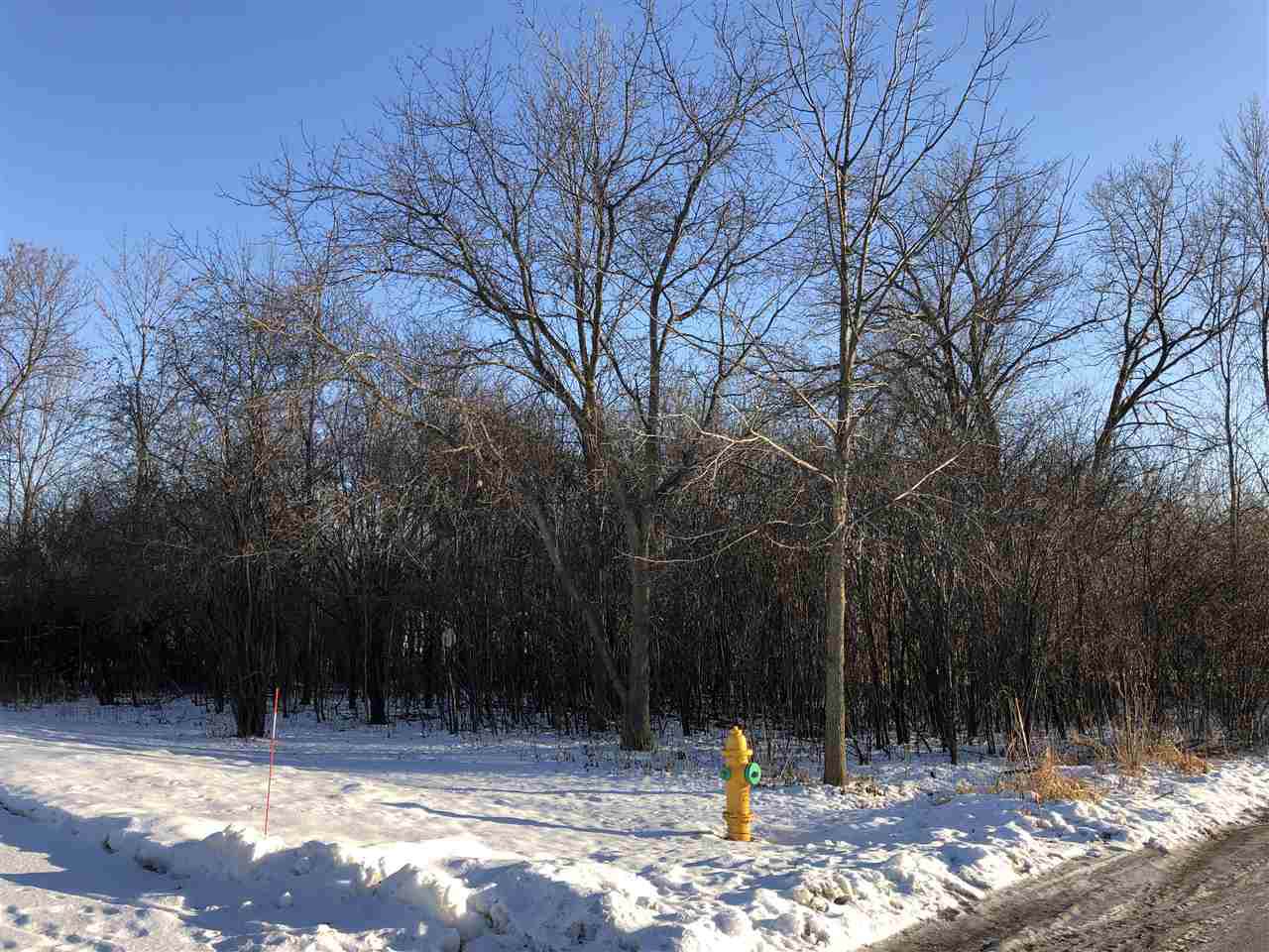646 Greenfield Street - Photo 1