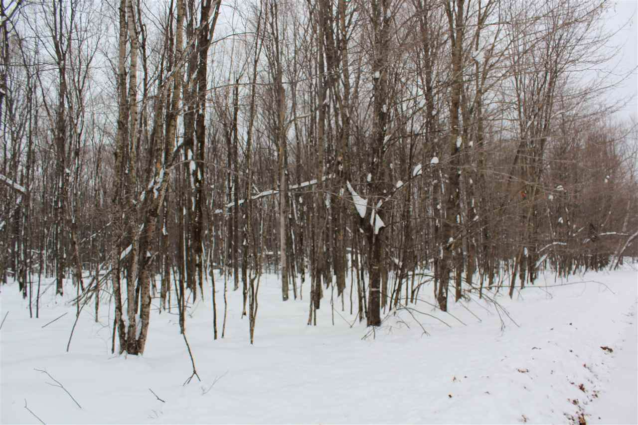 Cougar Lane - Photo 1