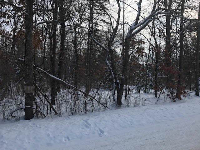 Sikowski Road - Photo 1