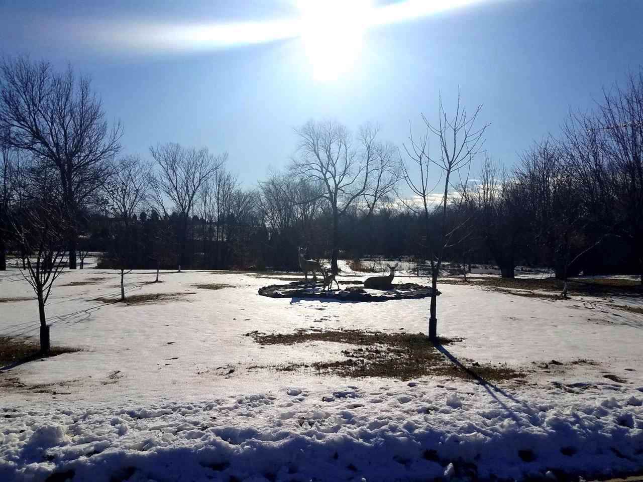 409 Paul Avenue - Photo 1