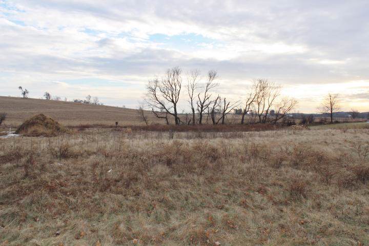 Woodland Ridge - Photo 1