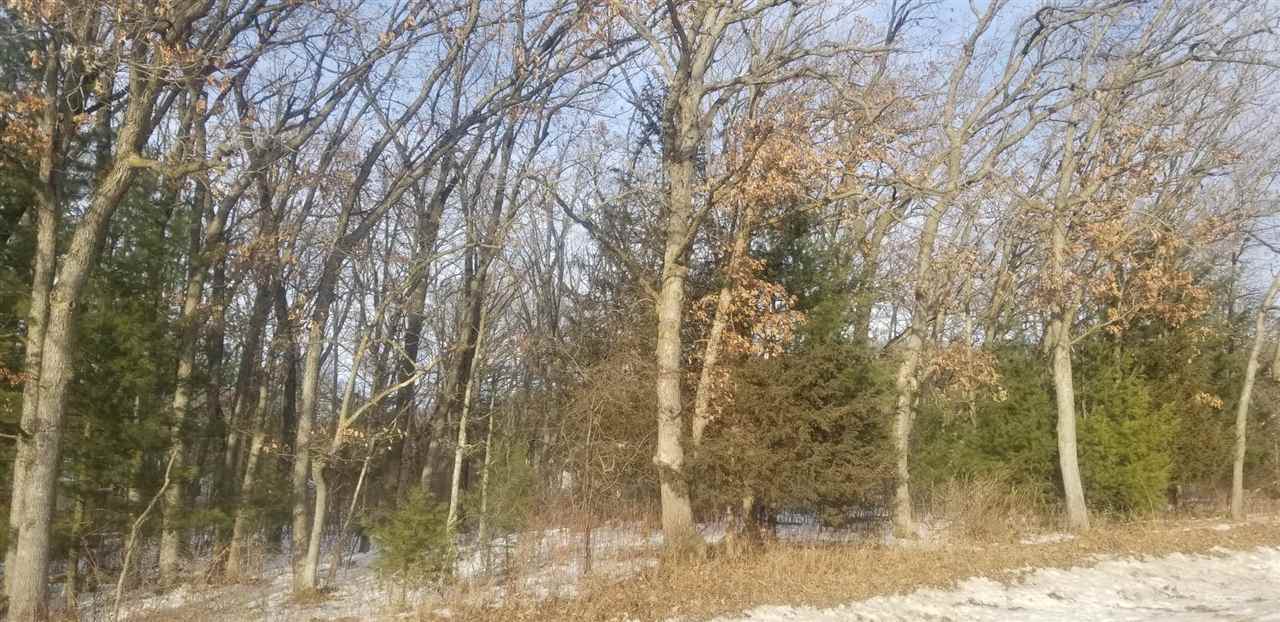 Woodhaven Circle - Photo 1