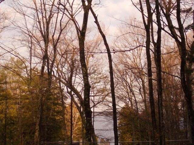 Bay Shore Drive - Photo 1