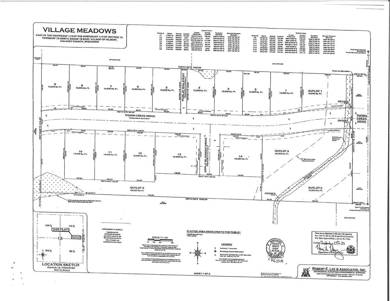 Thorn Creek Drive - Photo 1