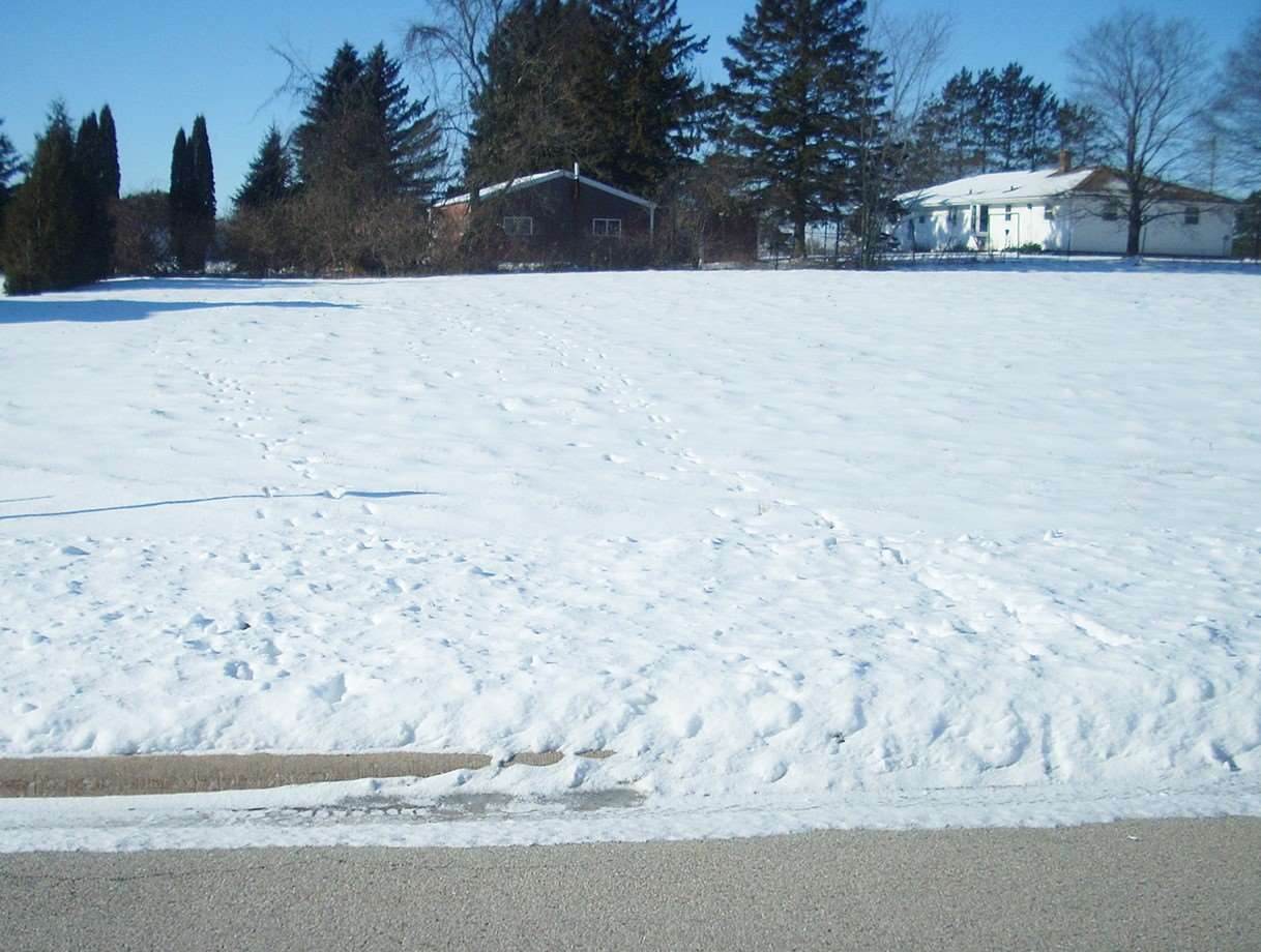 Old Orchard Avenue - Photo 1
