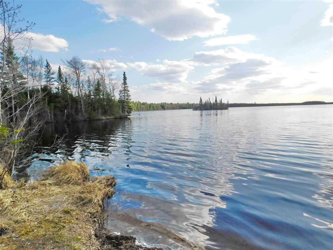 Neptune Lake Road - Photo 1