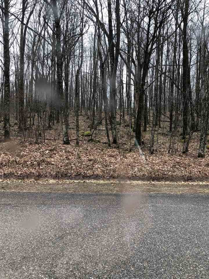 Horn Lake Road - Photo 1