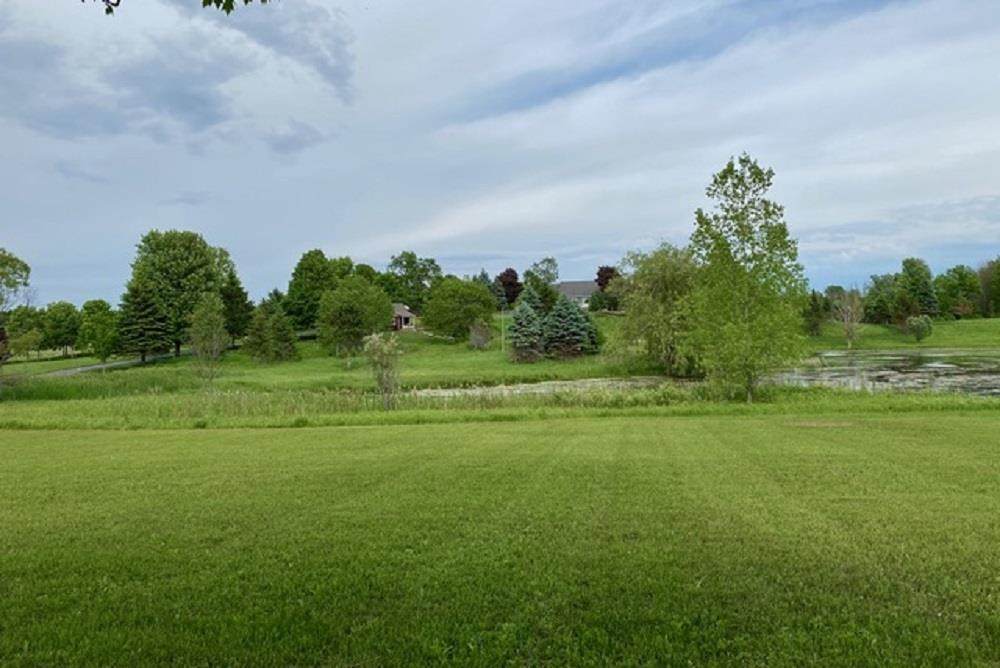 12579 Meggers Road - Photo 1