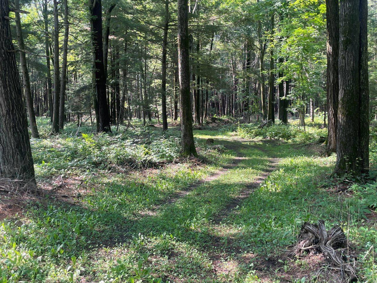 Dillenburg Lane - Photo 1