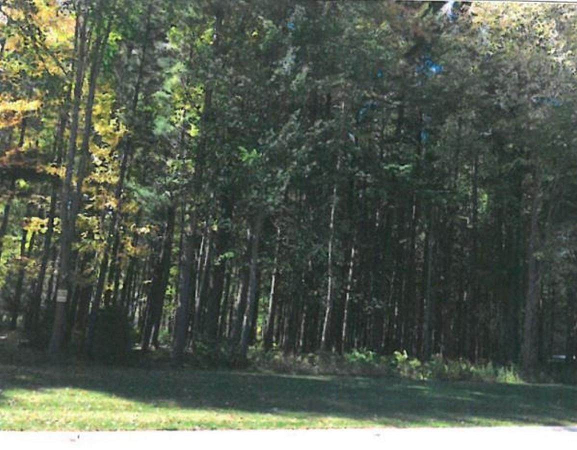 Fonda Fields Court - Photo 1