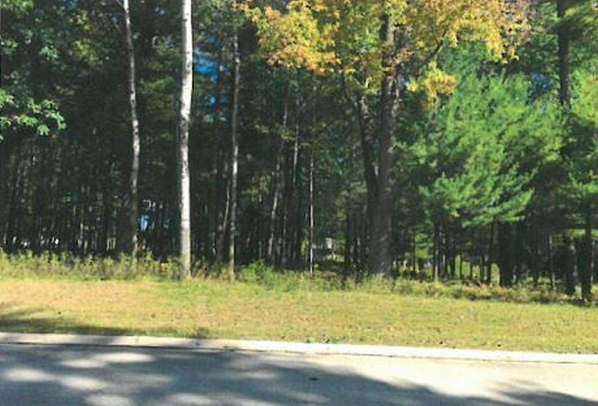 Fonda Fields Court - Photo 1
