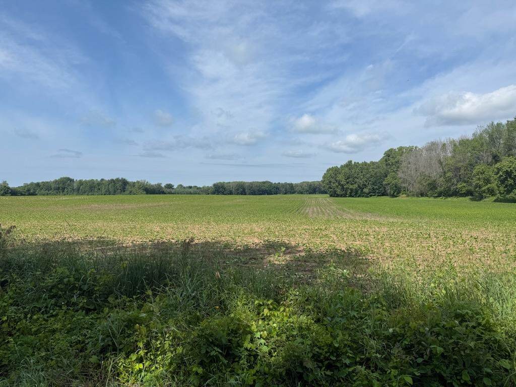 Ball Park Road - Photo 1