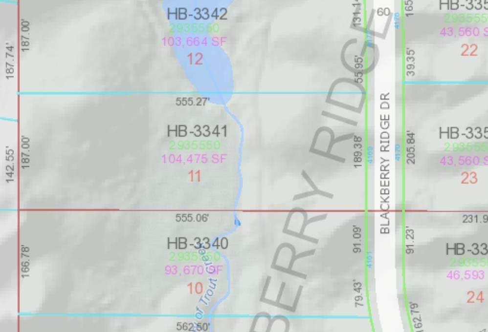 4169 Blackberry Ridge Drive - Photo 1