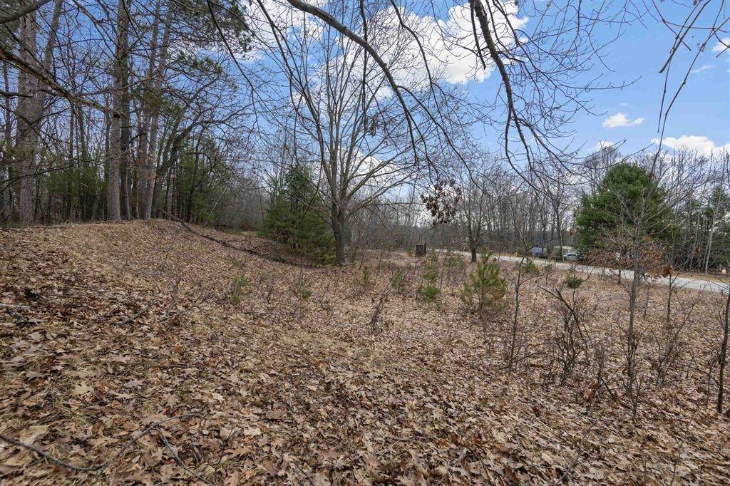  White Potato Lake Road - Photo 1