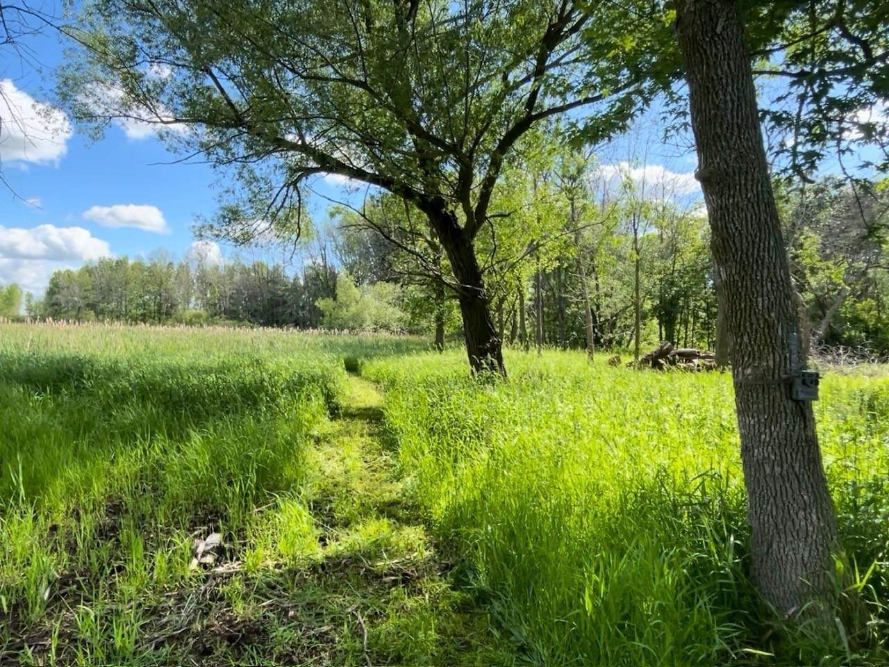  County Rd B - Photo 1