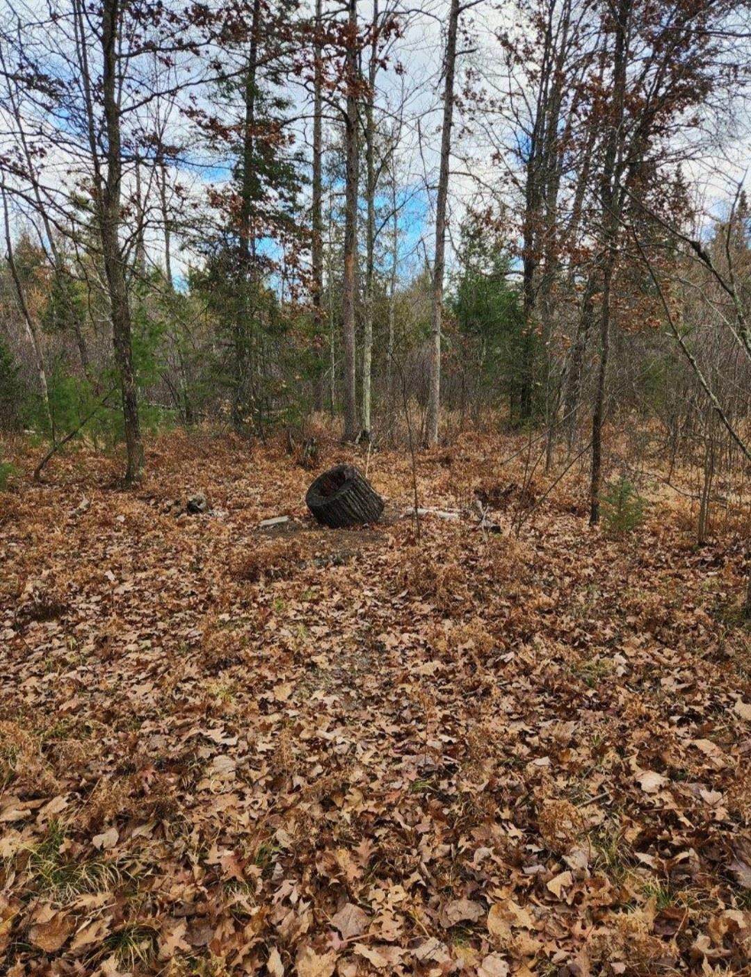 N18104 Perch Lake Road - Photo 1