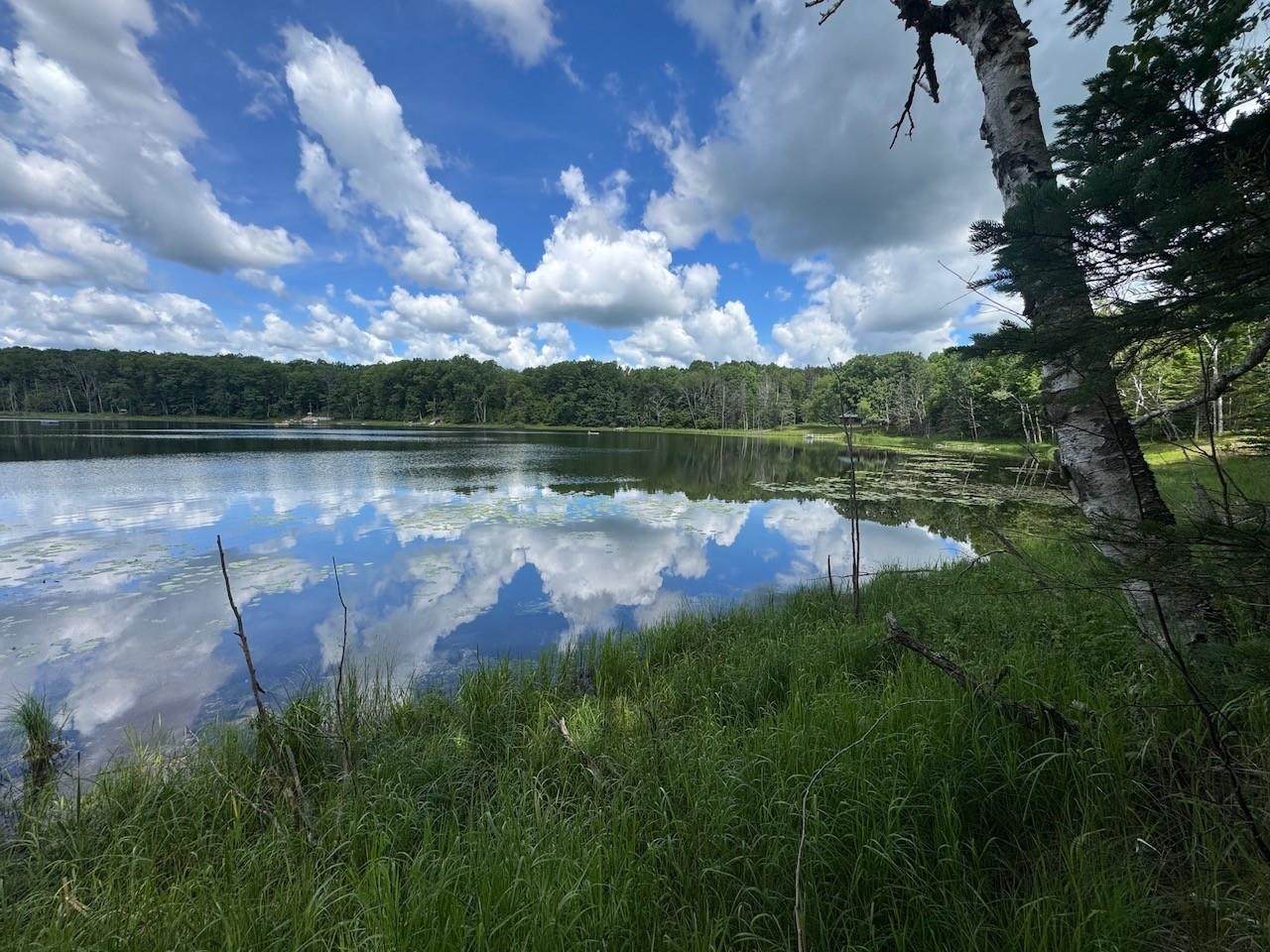  Blue Heron Lane - Photo 1