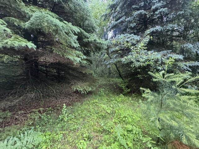 https://bt-photos.global.ssl.fastly.net/ranw/orig_boomver_1_50328141-1.jpg