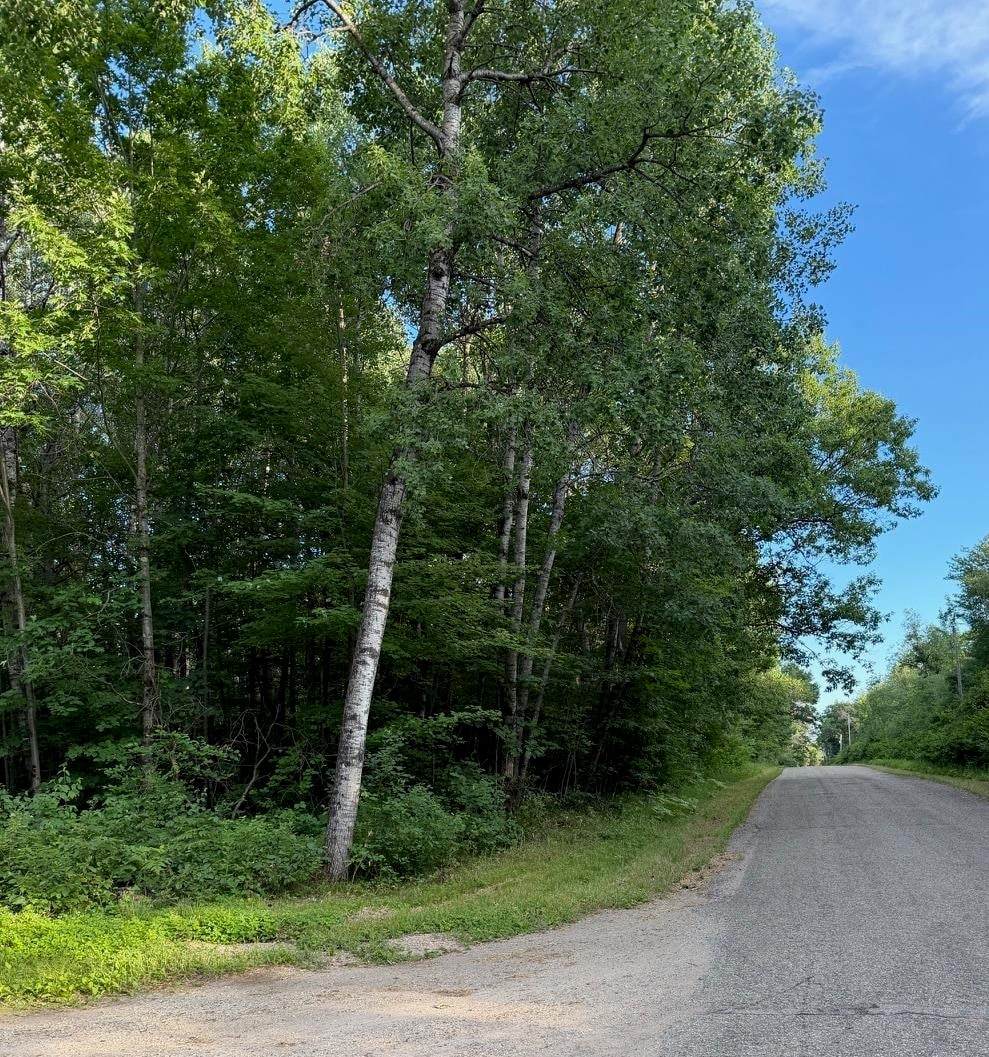  Town Corner Lake Road - Photo 1