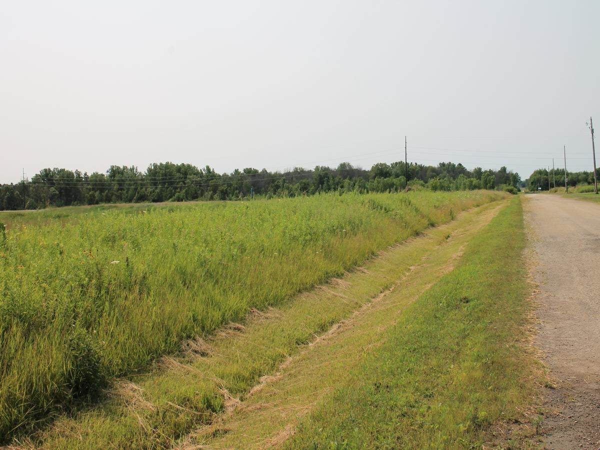  Sandhill Drive - Photo 1