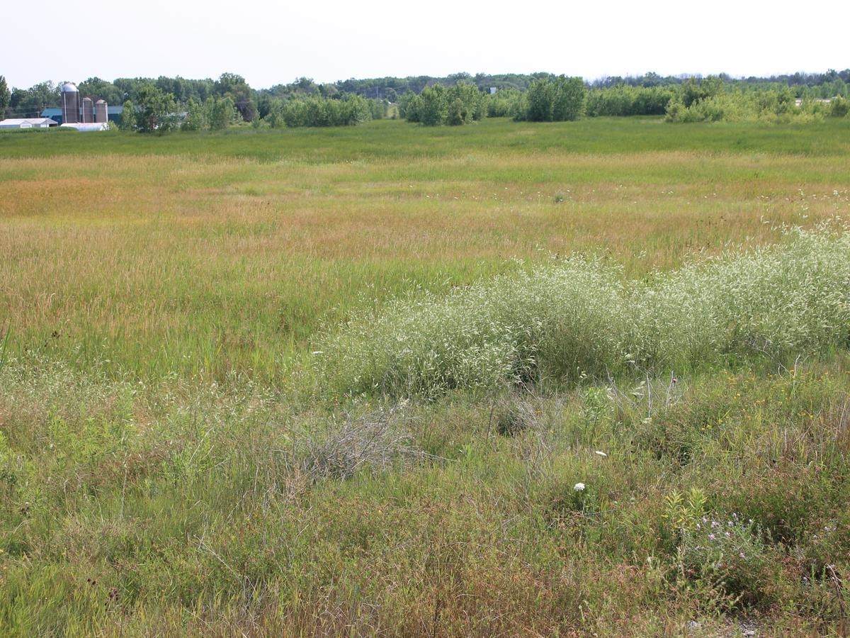 Sandhill Drive - Photo 1