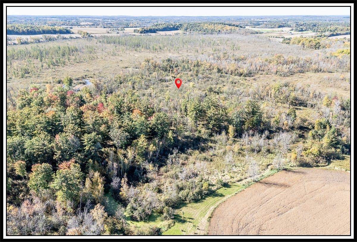  State Road 54 - Photo 1