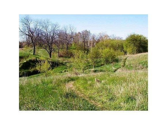 112 Purple Sage Drive - Photo 1